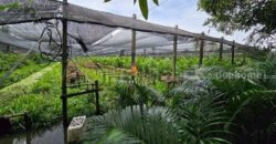 ที่ดินพร้อมสิ่งปลูกสร้าง 4 ไร่ 83 ตร.วา ติดถนน สามพราน นครปฐม