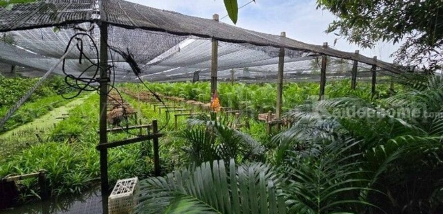 ที่ดินพร้อมสิ่งปลูกสร้าง 4 ไร่ 83 ตร.วา ติดถนน สามพราน นครปฐม