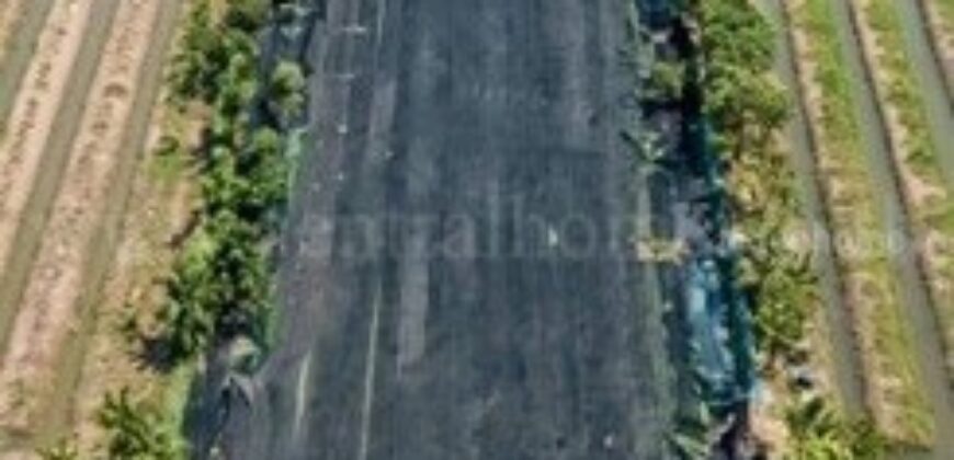 ที่ดินพร้อมสิ่งปลูกสร้าง 4 ไร่ 83 ตร.วา ติดถนน สามพราน นครปฐม