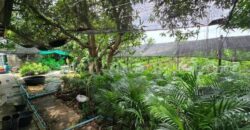 ที่ดินพร้อมสิ่งปลูกสร้าง 4 ไร่ 83 ตร.วา ติดถนน สามพราน นครปฐม