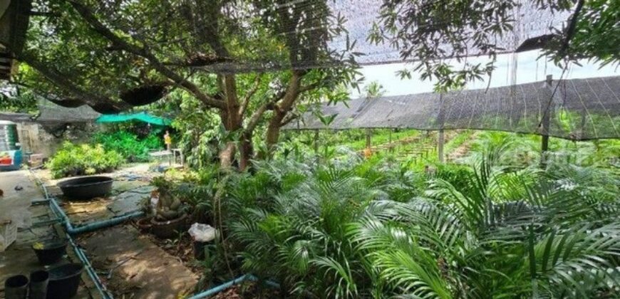 ที่ดินพร้อมสิ่งปลูกสร้าง 4 ไร่ 83 ตร.วา ติดถนน สามพราน นครปฐม