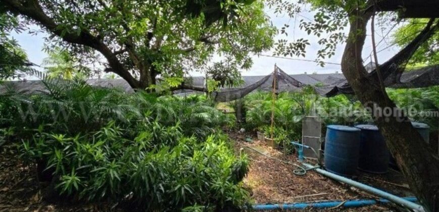 ที่ดินพร้อมสิ่งปลูกสร้าง 4 ไร่ 83 ตร.วา ติดถนน สามพราน นครปฐม
