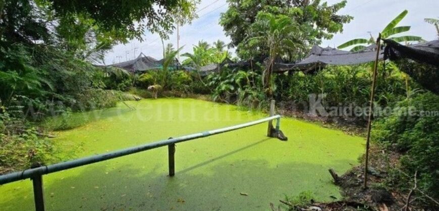 ที่ดินพร้อมสิ่งปลูกสร้าง 4 ไร่ 83 ตร.วา ติดถนน สามพราน นครปฐม