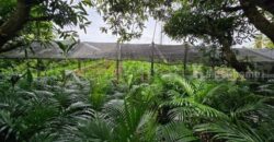 ที่ดินพร้อมสิ่งปลูกสร้าง 4 ไร่ 83 ตร.วา ติดถนน สามพราน นครปฐม