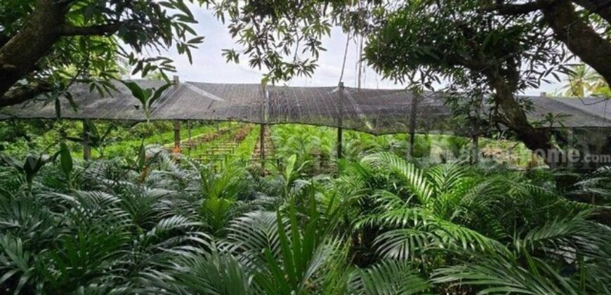 ที่ดินพร้อมสิ่งปลูกสร้าง 4 ไร่ 83 ตร.วา ติดถนน สามพราน นครปฐม