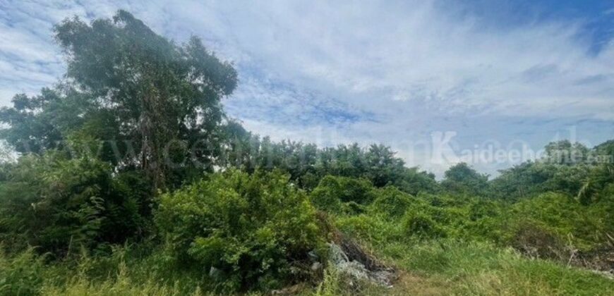 ที่ดิน ตำบลบางเสาธง อำเภอบางเสาธง สมุทรปราการ เนื้อที่ 1 ไร่