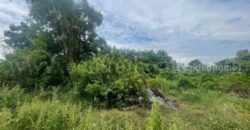 ที่ดิน ตำบลบางเสาธง อำเภอบางเสาธง สมุทรปราการ เนื้อที่ 1 ไร่