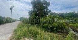 ที่ดิน ตำบลบางเสาธง อำเภอบางเสาธง สมุทรปราการ เนื้อที่ 1 ไร่