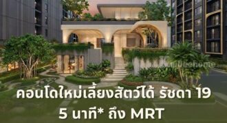 เดอะ เบส รัชดา 19 คอนโดเลี้ยงสัตว์ได้ เดินทางสะดวก ใกล้ MRT รัชดาภิเษก โทร 065-4496399