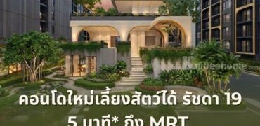 เดอะ เบส รัชดา 19 คอนโดเลี้ยงสัตว์ได้ เดินทางสะดวก ใกล้ MRT รัชดาภิเษก โทร 065-4496399