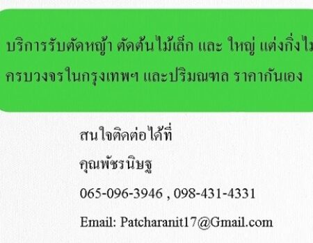 บริการรับตัดหญ้า ตัดต้นไม้เล็ก และ ใหญ่ แต่งกิ่งไม้ ครบวงจรในกรุงเทพฯ และปริมณฑล ราคากันเอง