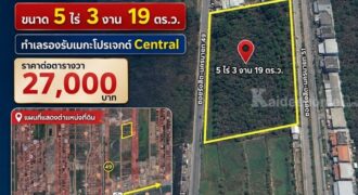 [เจ้าของขายเอง] ขายที่ดิน ซอยรังสิต-นครนายก 49 (คลอง 2) ขนาด 5 ไร่ 3 งาน 19 ตร.ว. ทำเลรองรับเมกะโปรเจกต์ Central โทร 082-229-1771