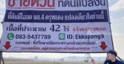 ด่วน ขายที่ดินแม่สอด-ห้วยกระโหลก 42 ไร่ ที่ดินมีโฉนด นส.4 ครุฑแดงแปลงเดียวในย่านนี้ โทร 0835437789