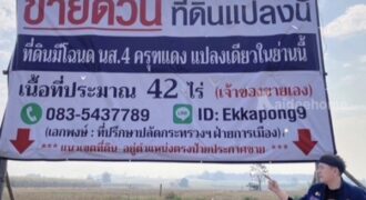 ด่วน ขายที่ดินแม่สอด-ห้วยกระโหลก 42 ไร่ ที่ดินมีโฉนด นส.4 ครุฑแดงแปลงเดียวในย่านนี้ โทร 0835437789