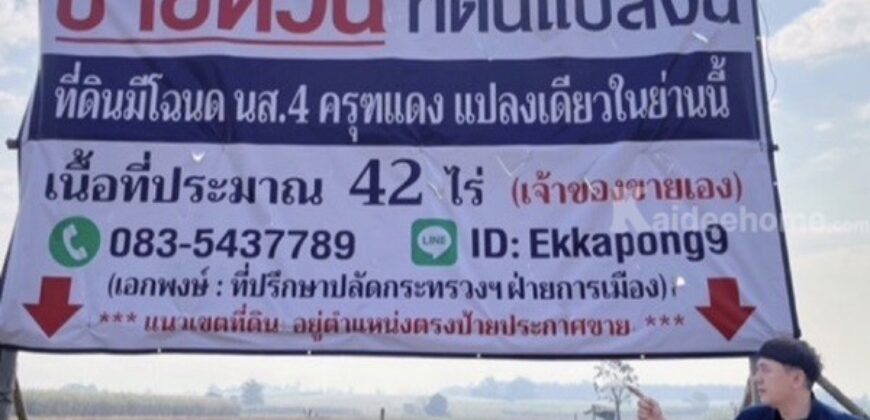 ด่วน ขายที่ดินแม่สอด-ห้วยกระโหลก 42 ไร่ ที่ดินมีโฉนด นส.4 ครุฑแดงแปลงเดียวในย่านนี้ โทร 0835437789