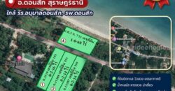 ขายด่วน ราคาถูกๆ ที่ดินติดทะเล สวยมาก 4 แปลง อ.ดอนสัก สุราษฎร์ธานี ใกล้ รร.อนุบาลดอนสัก, รพ.ดอนสัก โทร 0632897879