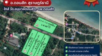 ขายด่วน ราคาถูกๆ ที่ดินติดทะเล สวยมาก 4 แปลง อ.ดอนสัก สุราษฎร์ธานี ใกล้ รร.อนุบาลดอนสัก, รพ.ดอนสัก โทร 0632897879