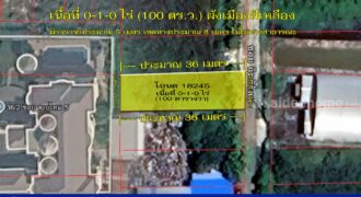 ขายที่ดิน ลำลูกกา 43 ซอยกิตติรัตน์ 100 ตร.ว. ราคา 1.97 ล้านบาท รูปแปลงสวย ทำเลดี ราคาดีที่สุดในซอย