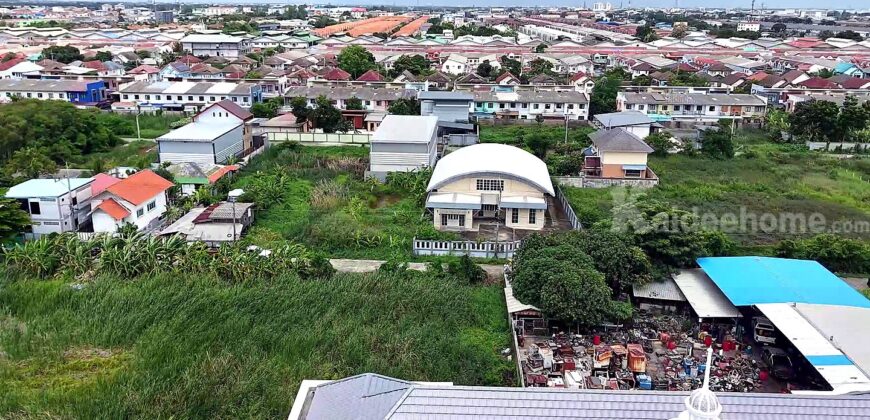 ขายที่ดิน ลำลูกกา 43 ซอยกิตติรัตน์ 100 ตร.ว. ราคา 1.97 ล้านบาท รูปแปลงสวย ทำเลดี ราคาดีที่สุดในซอย
