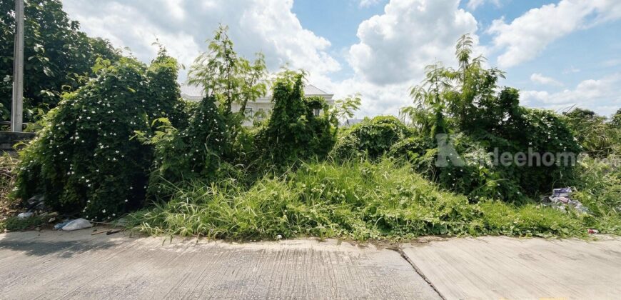 ขายที่ดิน ลำลูกกา 43 ซอยกิตติรัตน์ 100 ตร.ว. ราคา 1.97 ล้านบาท รูปแปลงสวย ทำเลดี ราคาดีที่สุดในซอย
