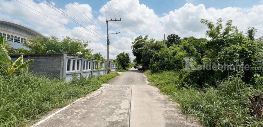ขายที่ดิน ลำลูกกา 43 ซอยกิตติรัตน์ 100 ตร.ว. ราคา 1.97 ล้านบาท รูปแปลงสวย ทำเลดี ราคาดีที่สุดในซอย