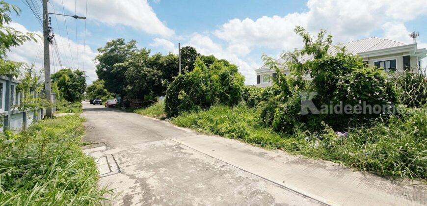 ขายที่ดิน ลำลูกกา 43 ซอยกิตติรัตน์ 100 ตร.ว. ราคา 1.97 ล้านบาท รูปแปลงสวย ทำเลดี ราคาดีที่สุดในซอย