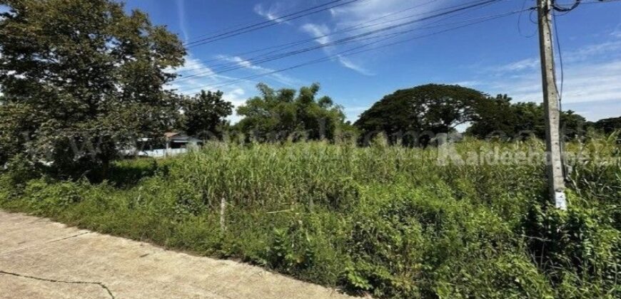 ที่ดิน บ้านปทุม สามโคก ทำเลดี ติดถนนสาธารณะ ถมแล้ว ใกล้ความเจริญ