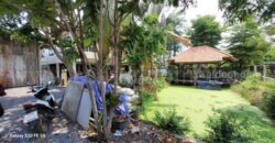 บ้านเดี่ยว พร้อมที่ดินธรรมชาติ ซอย ชมวิหค คลอง 5 พื้นที่ 2 งาน ราคาถูก