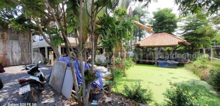 บ้านเดี่ยว พร้อมที่ดินธรรมชาติ ซอย ชมวิหค คลอง 5 พื้นที่ 2 งาน ราคาถูก
