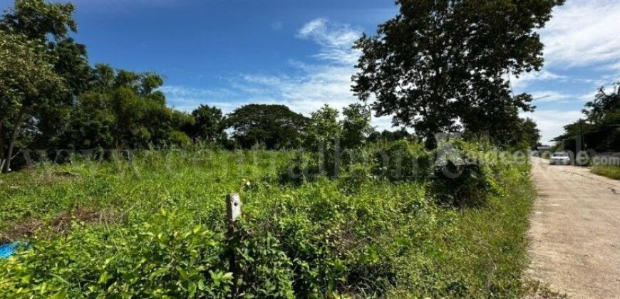 ที่ดิน บ้านปทุม สามโคก ทำเลดี ติดถนนสาธารณะ ถมแล้ว ใกล้ความเจริญ