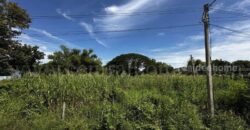ที่ดิน บ้านปทุม สามโคก ทำเลดี ติดถนนสาธารณะ ถมแล้ว ใกล้ความเจริญ