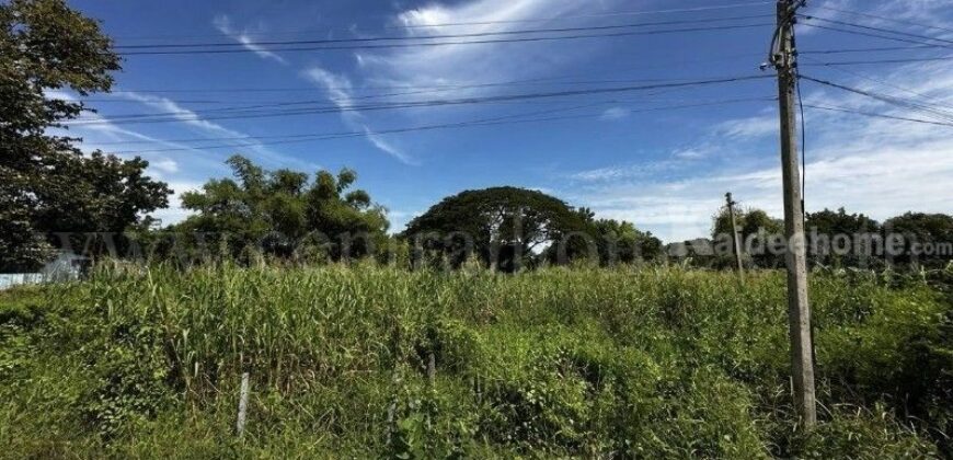 ที่ดิน บ้านปทุม สามโคก ทำเลดี ติดถนนสาธารณะ ถมแล้ว ใกล้ความเจริญ
