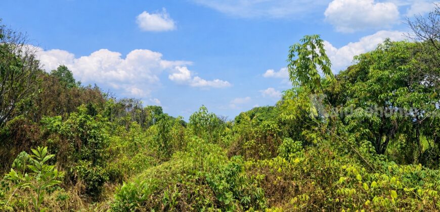 🚩ขายที่ดิน 1 ไร่ ซอยร่มเย็น ใกล้วัดป่าคลอง 11 หนองเสือ ปทุมธานี