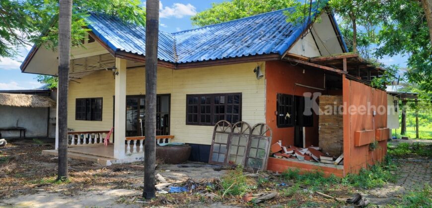 🚩 ขายที่ดินทำเลทอง 4 – 1 – 68 ไร่ ติดถนนท่ามะนาว ใกล้ที่ว่าการอำเภอชัยบาดาล ลพบุรี