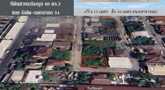 🚩ที่ดินจัดสรร แปลงสวยหัวมุม 60 ตาราวา หมู่บ้านเปรมปรีด์ ในซอย รังสิต-นครนายก 54