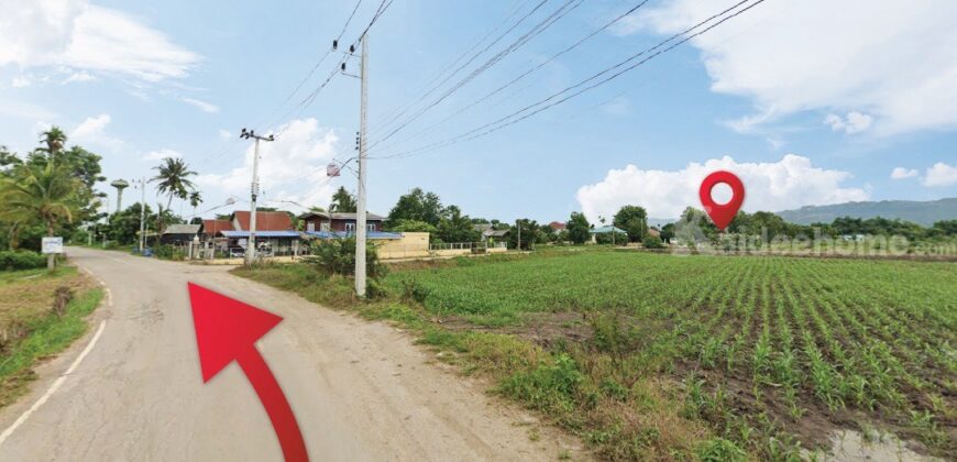 ที่ดิน วังไทร ปากช่อง ใกล้ เขาใหญ่ วังน้ำเขียว ราคาถูก