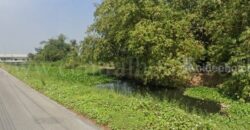 ที่ดิน 2-3-26 ไร่ ติดทางพิเศษ อ.บางใหญ่-กาญจนบุรี M81
