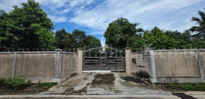 บ้านเดี่ยว 2 ชั้น พร้อมที่ดิน 245.4 ตร.วา ซอยบางกร่าง 62 ติดถนนราชพฤกษ์ ราคาดี