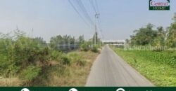 ที่ดิน 2-3-26 ไร่ ติดทางพิเศษ อ.บางใหญ่-กาญจนบุรี M81
