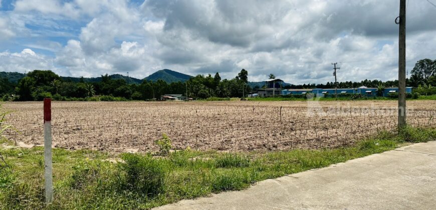 🔥 ขายที่ดิน 9.92 ไร่ หนองอิรุณ บ้านบึง ชลบุรี | 26.8 ล้านบาท ที่ดินแปลงใหญ่ เนื้อที่ 9.92 ไร่ (3,968 ตร.ว.)