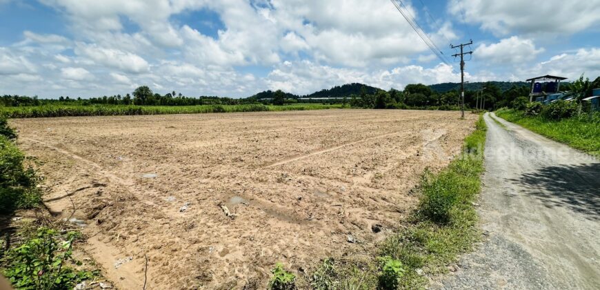 🔥 ขายที่ดิน 9.92 ไร่ หนองอิรุณ บ้านบึง ชลบุรี | 26.8 ล้านบาท ที่ดินแปลงใหญ่ เนื้อที่ 9.92 ไร่ (3,968 ตร.ว.)