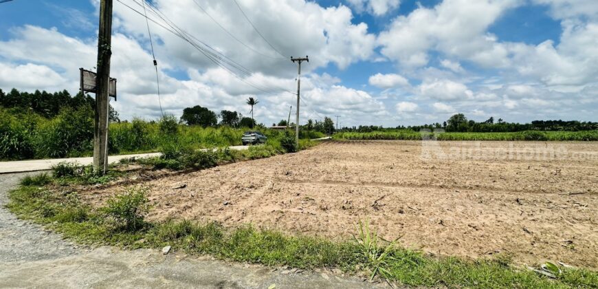 🔥 ขายที่ดิน 9.92 ไร่ หนองอิรุณ บ้านบึง ชลบุรี | 26.8 ล้านบาท ที่ดินแปลงใหญ่ เนื้อที่ 9.92 ไร่ (3,968 ตร.ว.)