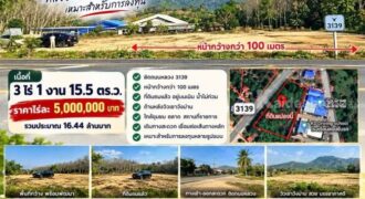 ขายที่ดินทำเลเด่น เขาวังม่าน นาตาขวัญ จ.ระยอง