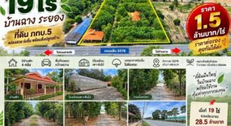 ขายที่ดิน 19ไร่ ติดถนน 3376 บ้านฉาง ระยอง