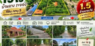 ขายที่ดิน 19ไร่ ติดถนน 3376 บ้านฉาง ระยอง