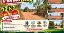ขายที่ดิน 12ไร่ นส.3 หนองแปน มัญจาคีรี ขอนแก่น