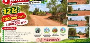 ขายที่ดิน 12ไร่ นส.3 หนองแปน มัญจาคีรี ขอนแก่น