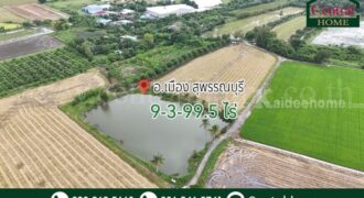 ที่ดิน 9-3-99.5 ไร่ ดอนโพธิ์ – สุพรรณบุรี ทำเลดี