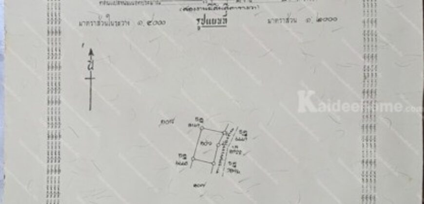 ขายที่ดินถมแล้ว 197 ตารางวา สวนผึ้ง ราชบุรี ใกล้ถนน 3208 เหมาะทำบ้านพักตากอากาศหรือคาเฟ่
