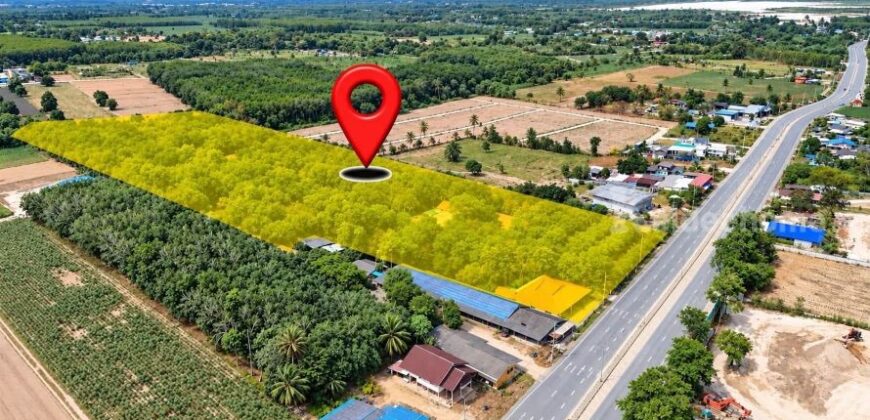 ขายที่ดิน 19ไร่ ติดถนน 3376 บ้านฉาง ระยอง